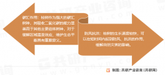桉树行业市场最新数据阐发：2025年中国桉树种植